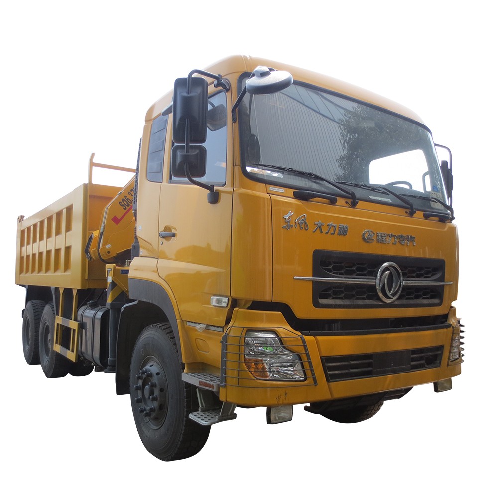 Dongfeng Autocarro Con Cassone Ribaltabile Da 30 Tonnellate Con Gru